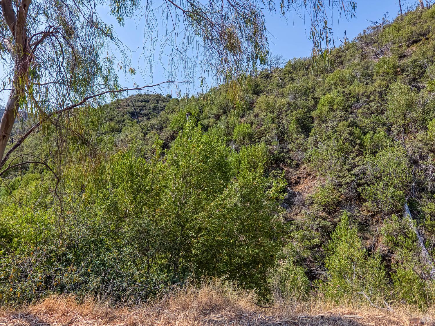 Detail Gallery Image 37 of 58 For Address Is Not Disclosed, Pope Valley,  CA 94567 - – Beds | – Baths