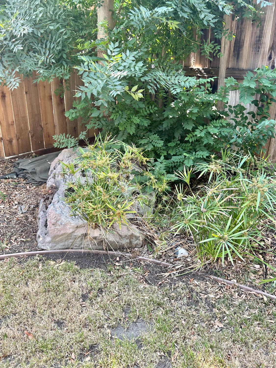 Detail Gallery Image 20 of 29 For 261 Bridgewater Cir, Suisun City,  CA 94585 - 3 Beds | 2/1 Baths