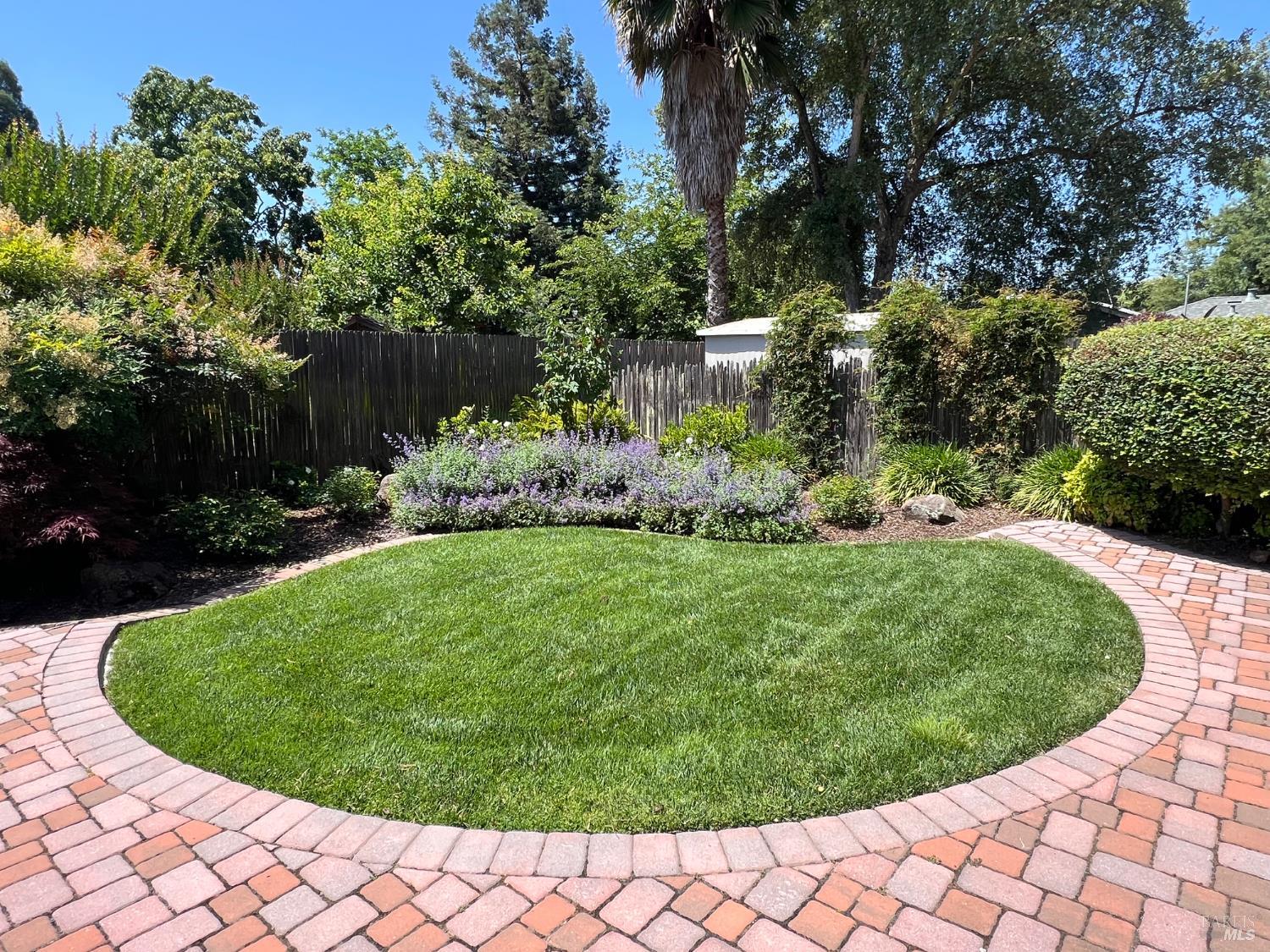 Banks Avenue, Napa, California image 28