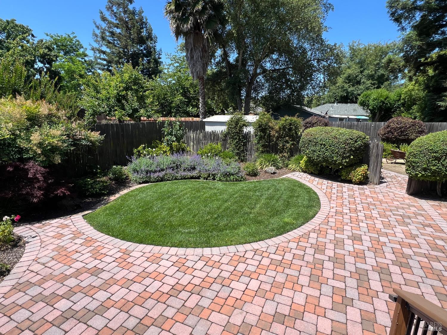 Banks Avenue, Napa, California image 27