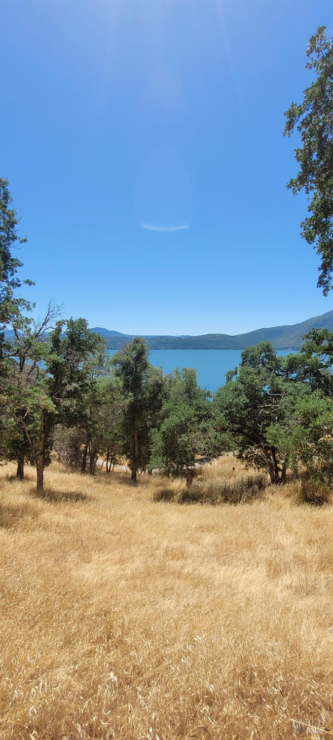 Detail Gallery Image 9 of 20 For 2288 Cove View Dr, Clearlake,  CA 95424 - – Beds | – Baths