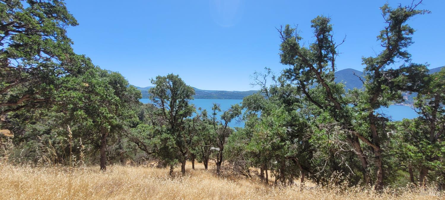 Detail Gallery Image 4 of 20 For 2288 Cove View Dr, Clearlake,  CA 95424 - – Beds | – Baths