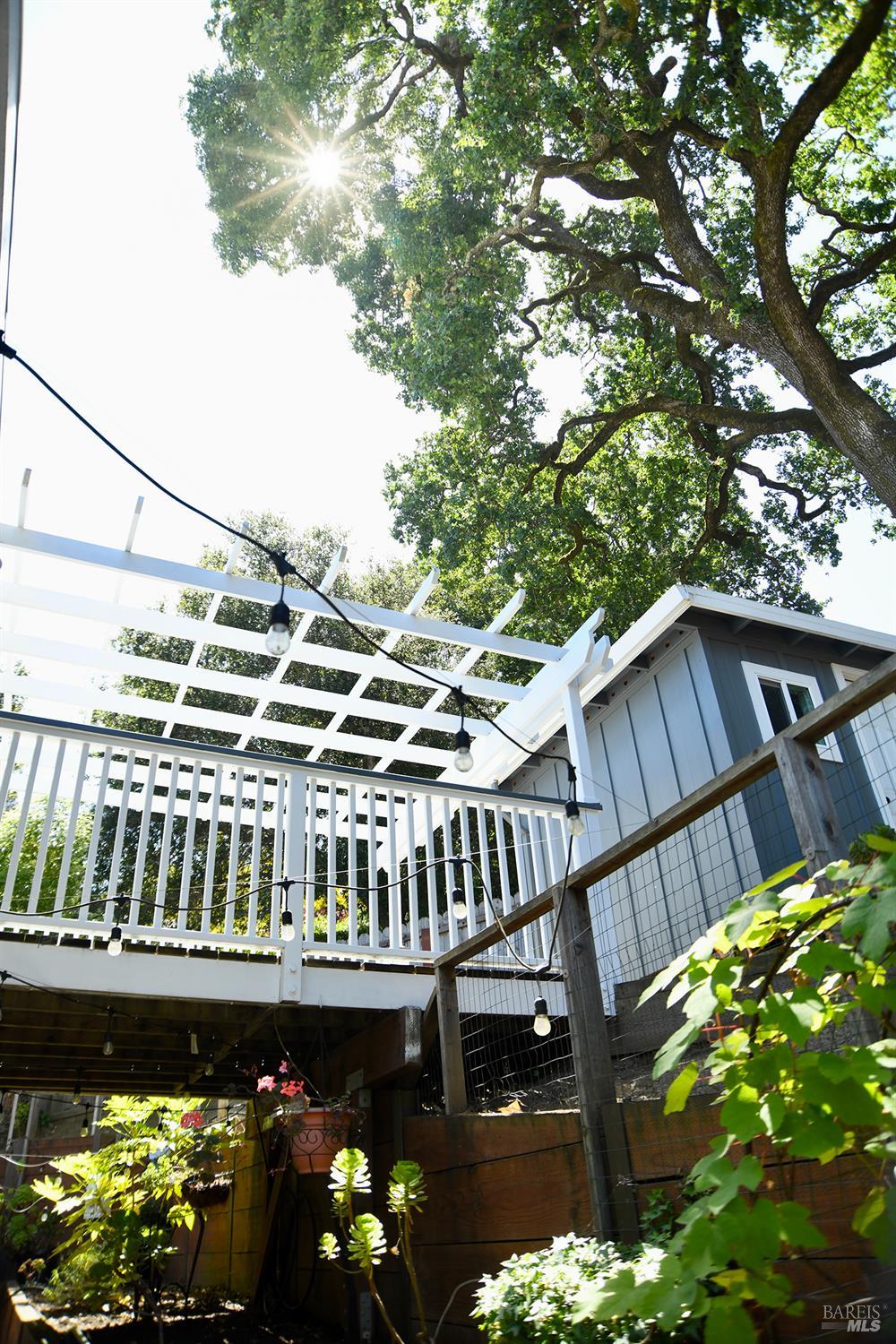 Jessup Street, San Rafael, California image 14
