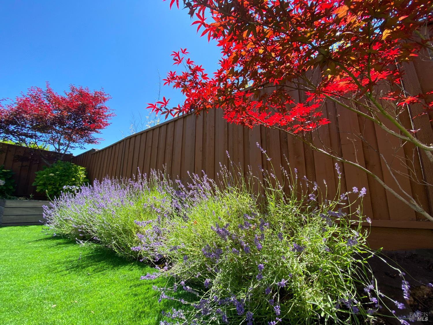Detail Gallery Image 4 of 16 For 873 Saratoga Dr, Napa,  CA 94559 - 4 Beds | 3 Baths