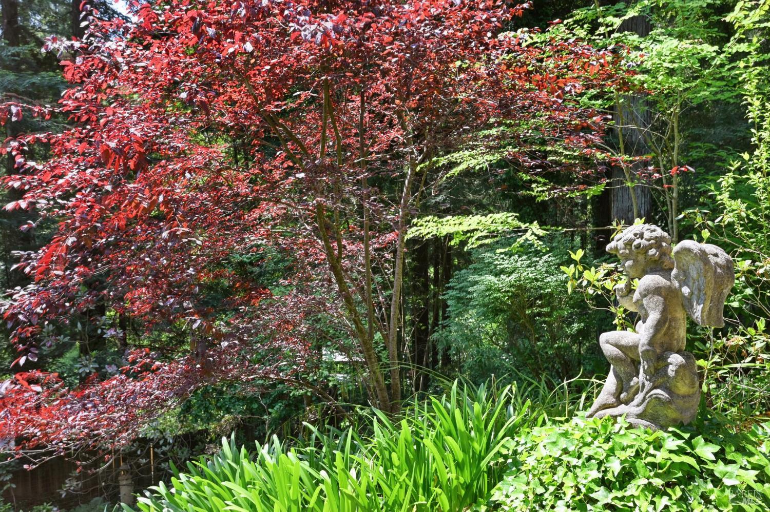 Detail Gallery Image 34 of 46 For 17815 Old Monte Rio Rd, Guerneville,  CA 95446 - 2 Beds | 2 Baths