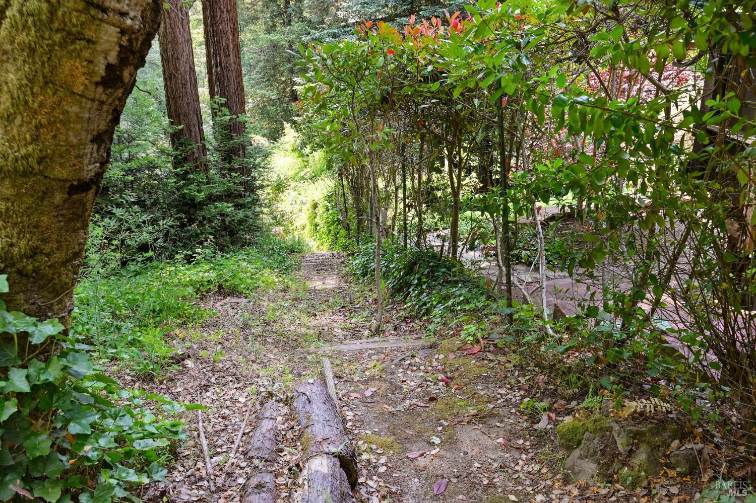 Detail Gallery Image 35 of 46 For 17815 Old Monte Rio Rd, Guerneville,  CA 95446 - 2 Beds | 2 Baths