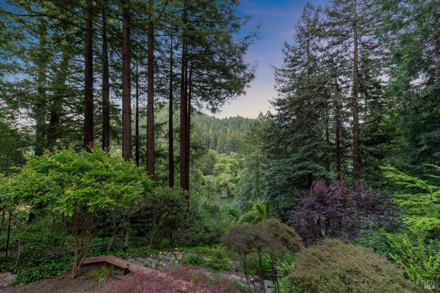 Detail Gallery Image 41 of 46 For 17815 Old Monte Rio Rd, Guerneville,  CA 95446 - 2 Beds | 2 Baths