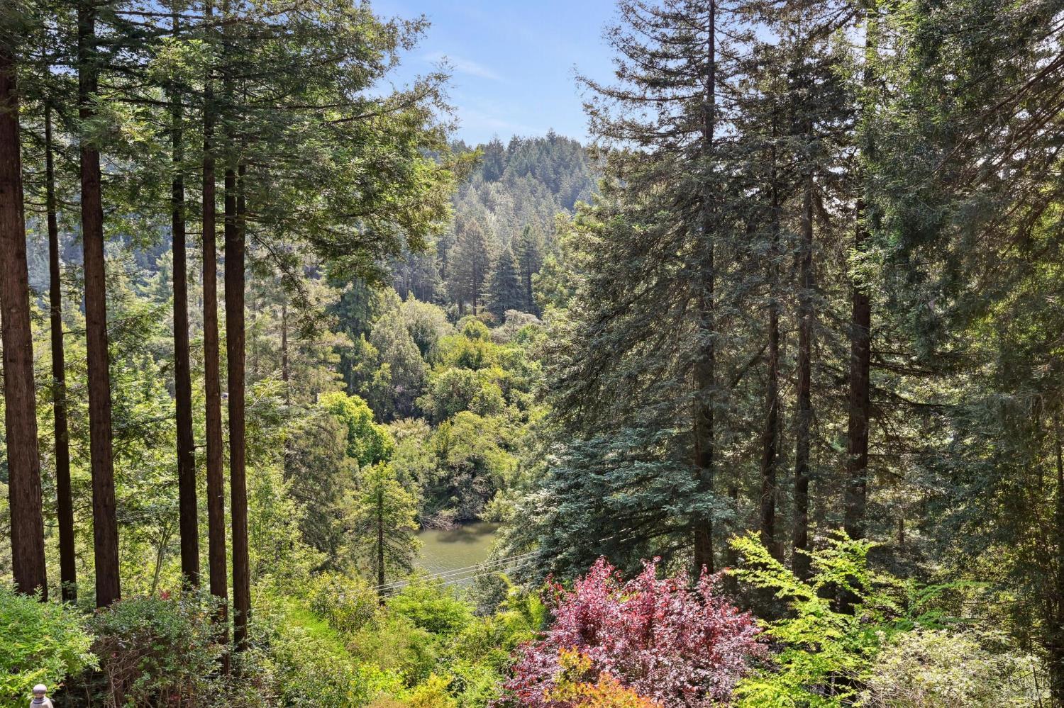 Detail Gallery Image 42 of 46 For 17815 Old Monte Rio Rd, Guerneville,  CA 95446 - 2 Beds | 2 Baths