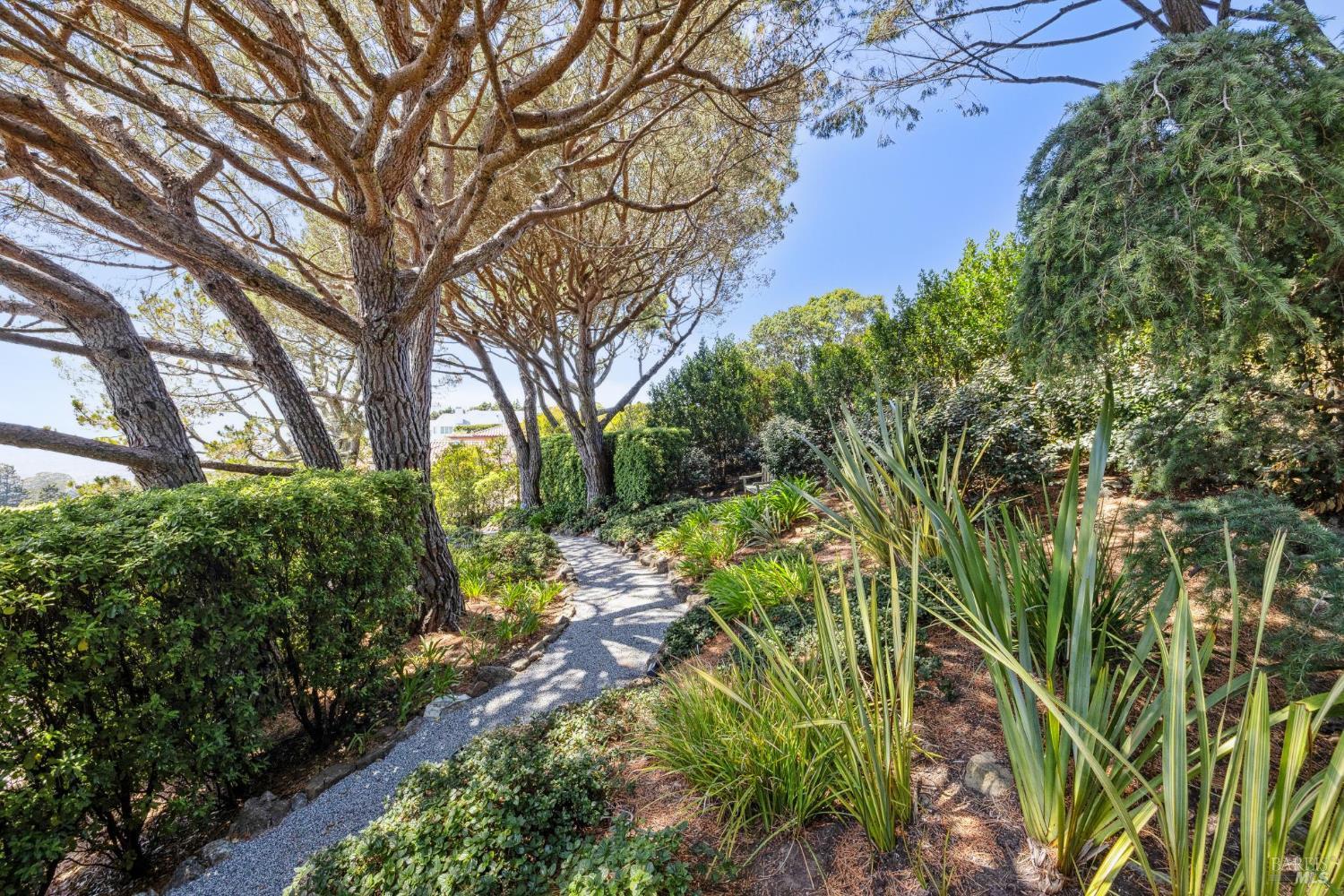 Detail Gallery Image 93 of 99 For 83 Mount Tiburon Rd, Tiburon,  CA 94920 - 6 Beds | 5/1 Baths