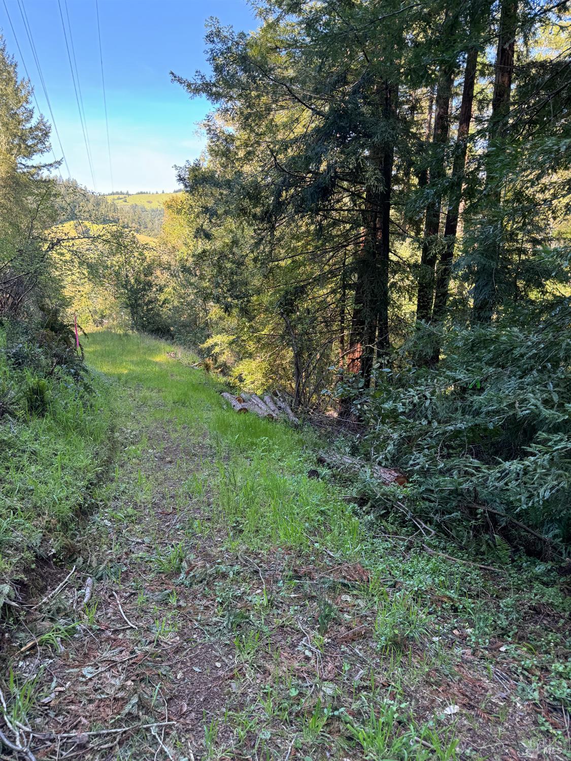 Detail Gallery Image 14 of 20 For 5 Meadow View Ln, San Geronimo,  CA 94963 - – Beds | – Baths