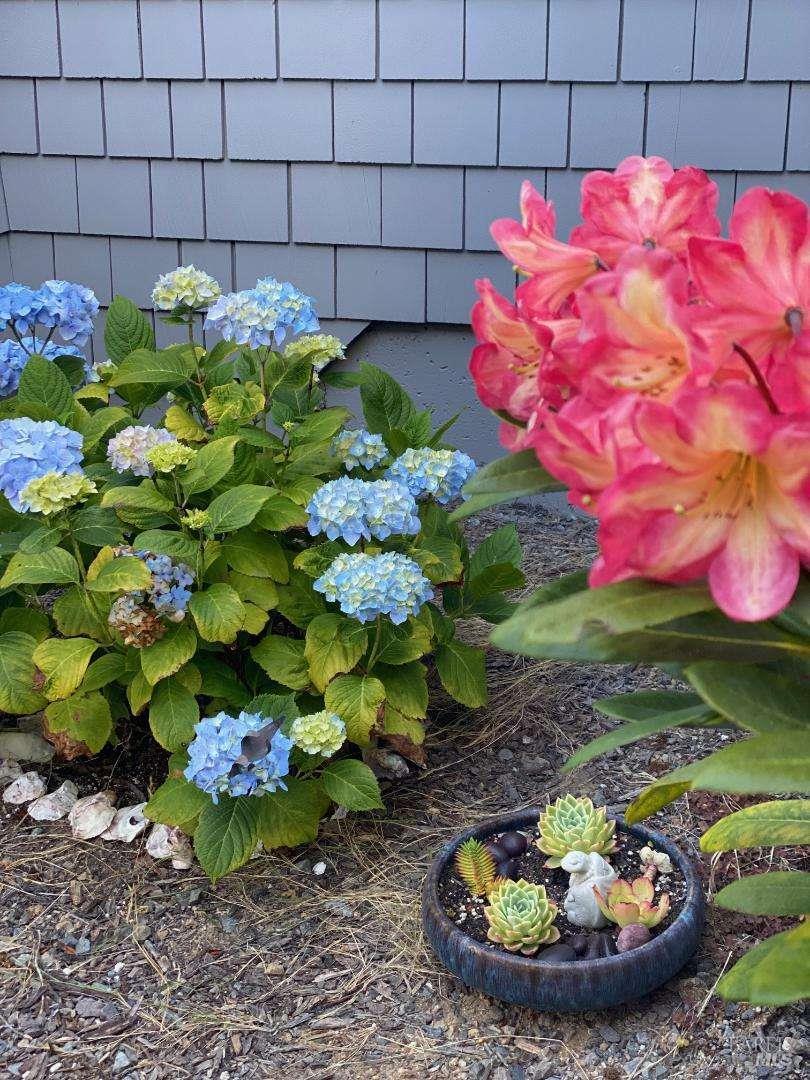 Detail Gallery Image 49 of 64 For 1513 Sea Way, Bodega Bay,  CA 94923 - 3 Beds | 2/1 Baths