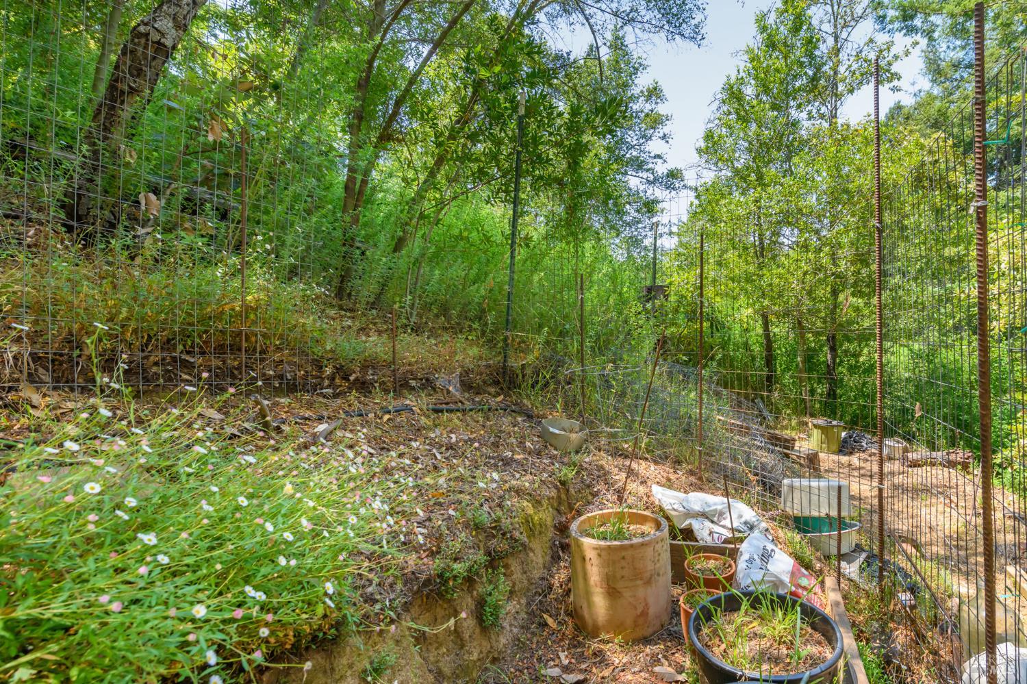 Detail Gallery Image 31 of 33 For 312 Shady Ln, Mill Valley,  CA 94941 - 5 Beds | 2 Baths
