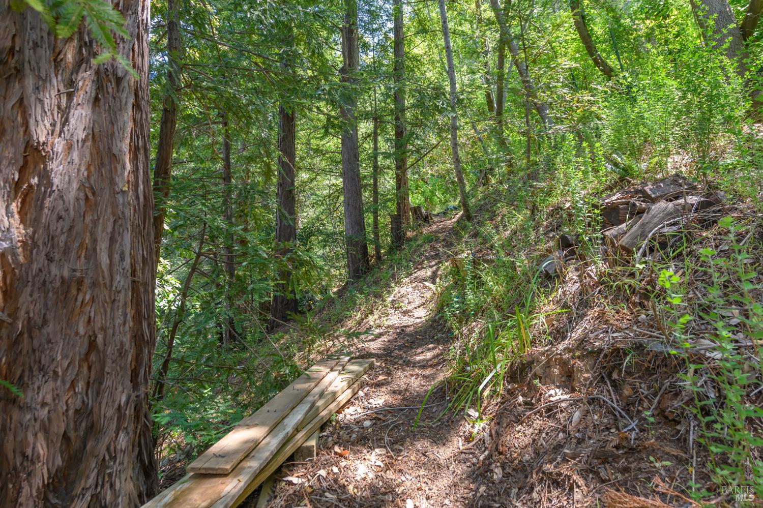Detail Gallery Image 29 of 33 For 312 Shady Ln, Mill Valley,  CA 94941 - 5 Beds | 2 Baths