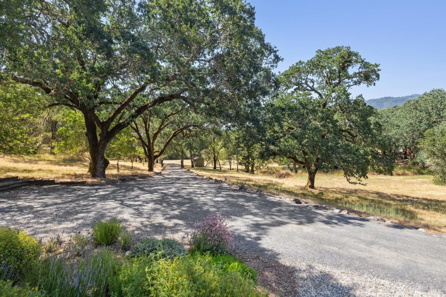 Detail Gallery Image 15 of 66 For 5219 Bennett Valley Ln, Glen Ellen,  CA 95442 - 3 Beds | 2 Baths
