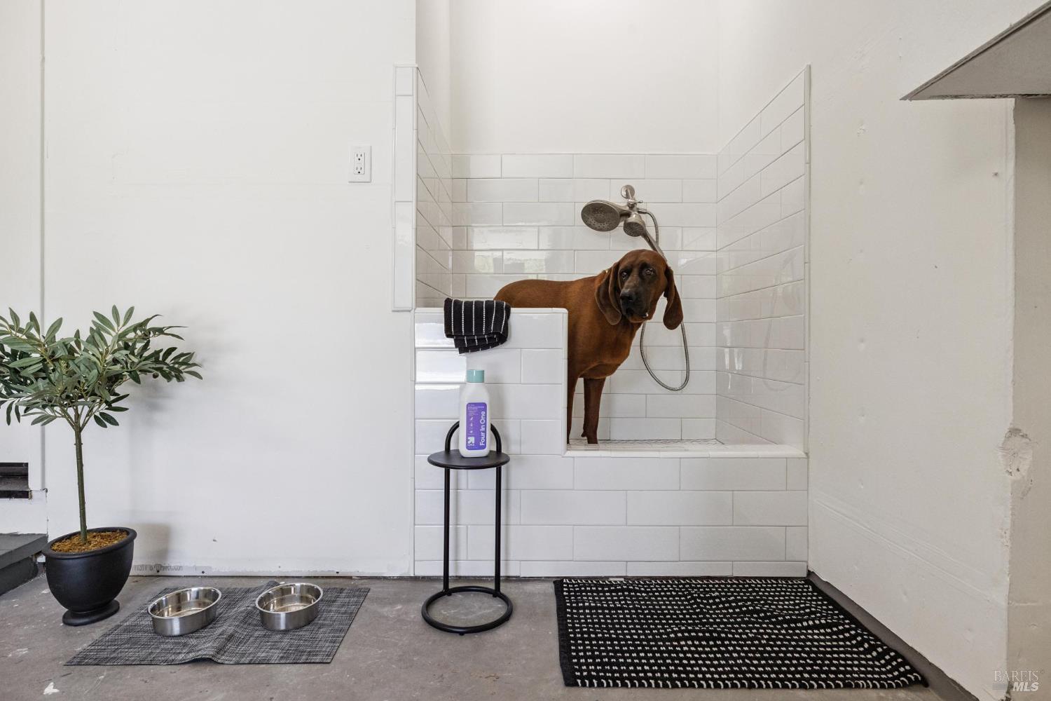 Detail Gallery Image 23 of 25 For 1830 Spring Mountain Rd, Saint Helena,  CA 94574 - 3 Beds | 2 Baths