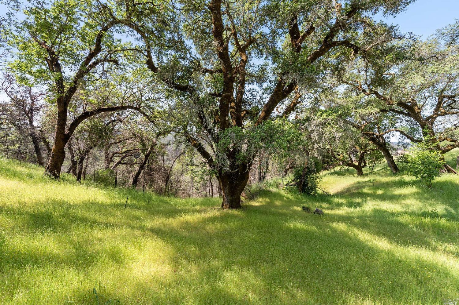 Detail Gallery Image 21 of 40 For 2440 Big Ridge Rd, Healdsburg,  CA 95448 - – Beds | – Baths
