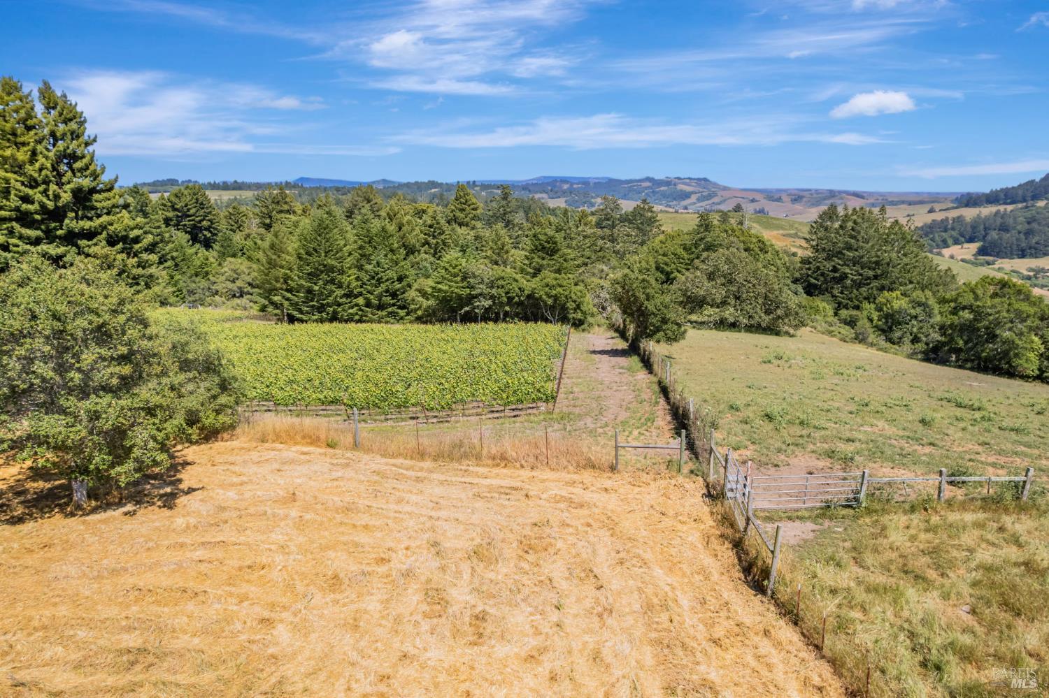 Detail Gallery Image 27 of 33 For 0 S Bodega Hwy, Freestone,  CA 95472 - – Beds | – Baths