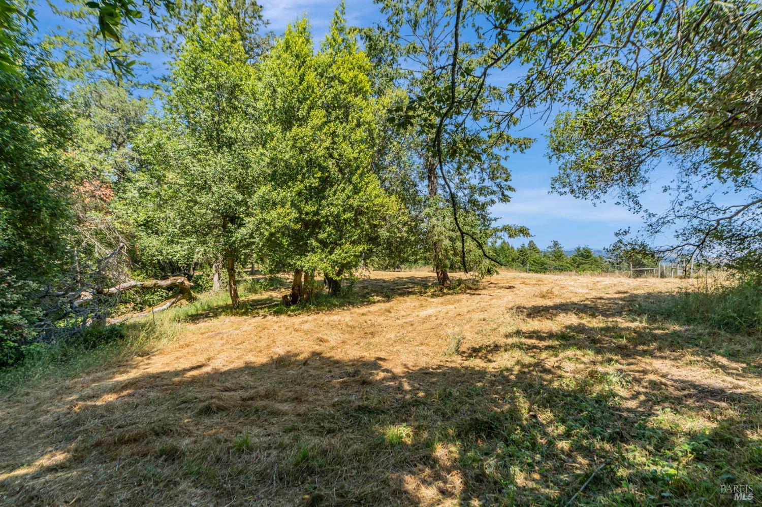Detail Gallery Image 21 of 33 For 0 S Bodega Hwy, Freestone,  CA 95472 - – Beds | – Baths