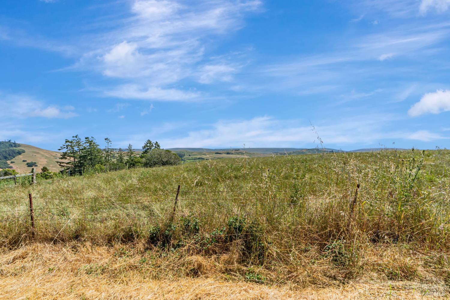 Detail Gallery Image 2 of 33 For 0 S Bodega Hwy, Freestone,  CA 95472 - – Beds | – Baths