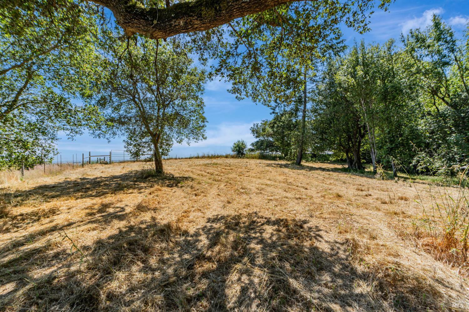 Detail Gallery Image 12 of 33 For 0 S Bodega Hwy, Freestone,  CA 95472 - – Beds | – Baths