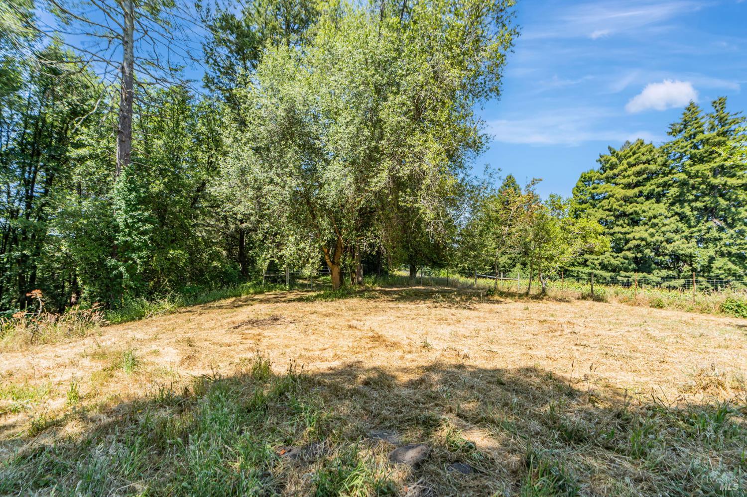 Detail Gallery Image 22 of 33 For 0 S Bodega Hwy, Freestone,  CA 95472 - – Beds | – Baths