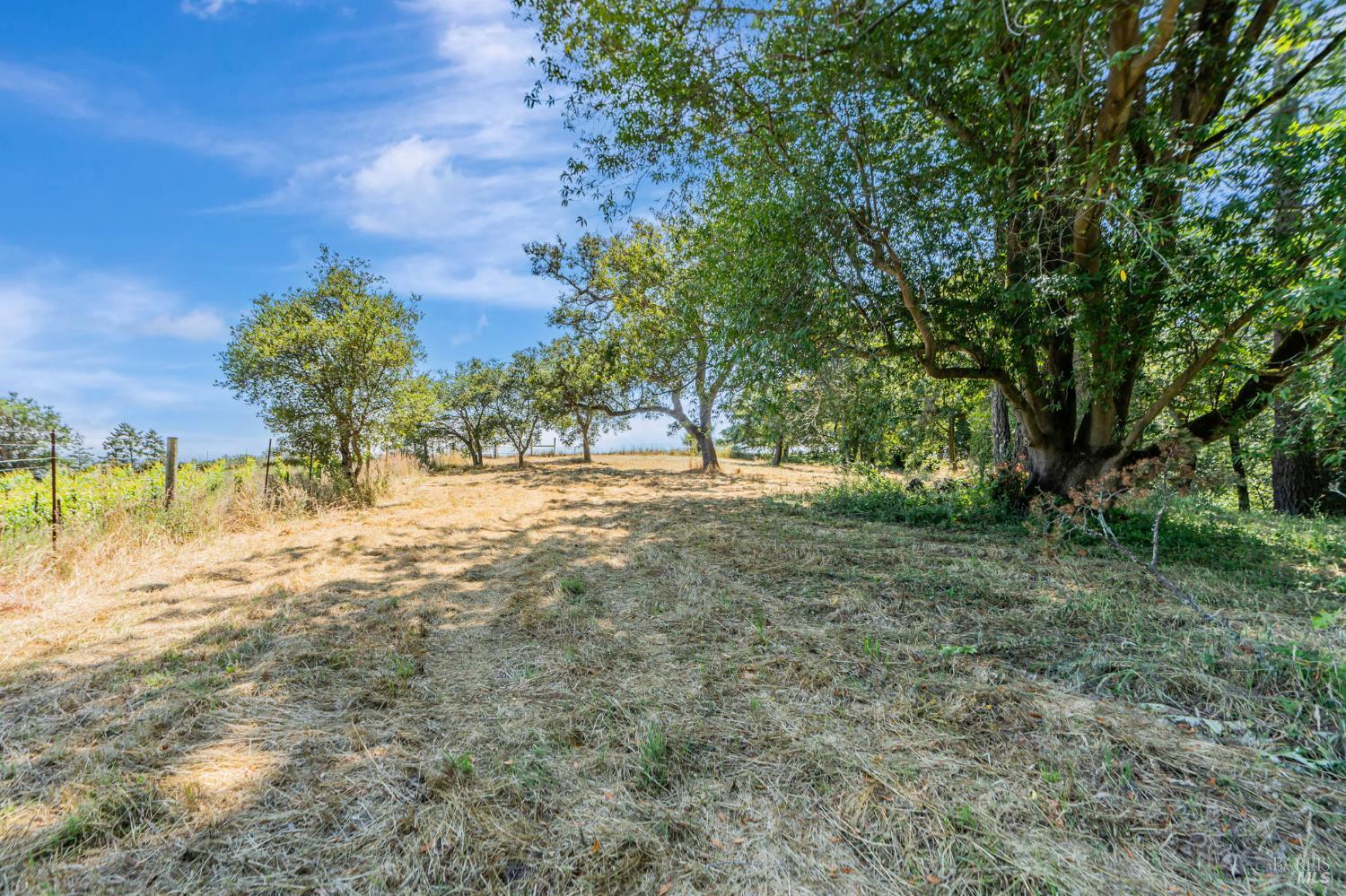 Detail Gallery Image 11 of 33 For 0 S Bodega Hwy, Freestone,  CA 95472 - – Beds | – Baths