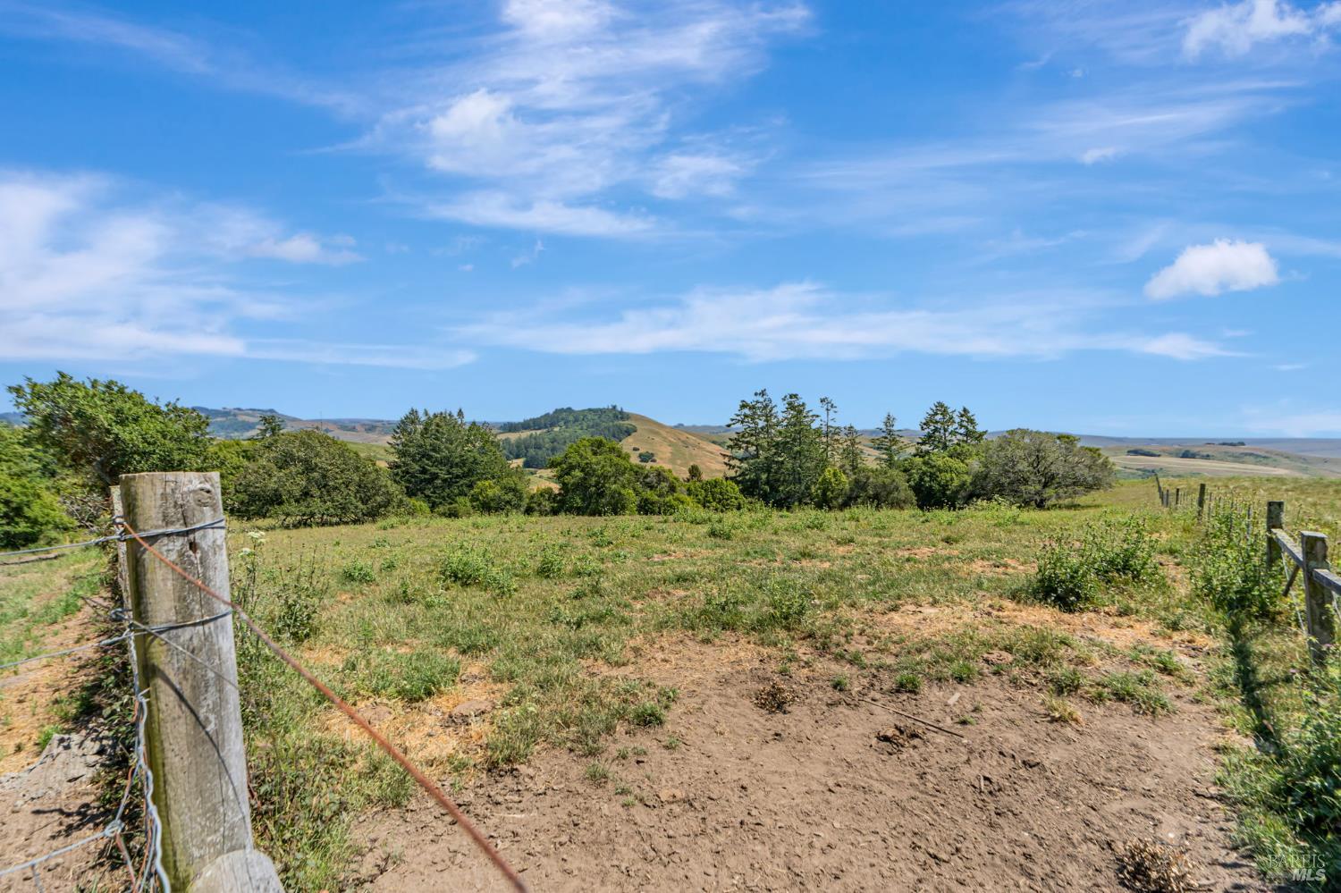 Detail Gallery Image 14 of 33 For 0 S Bodega Hwy, Freestone,  CA 95472 - – Beds | – Baths