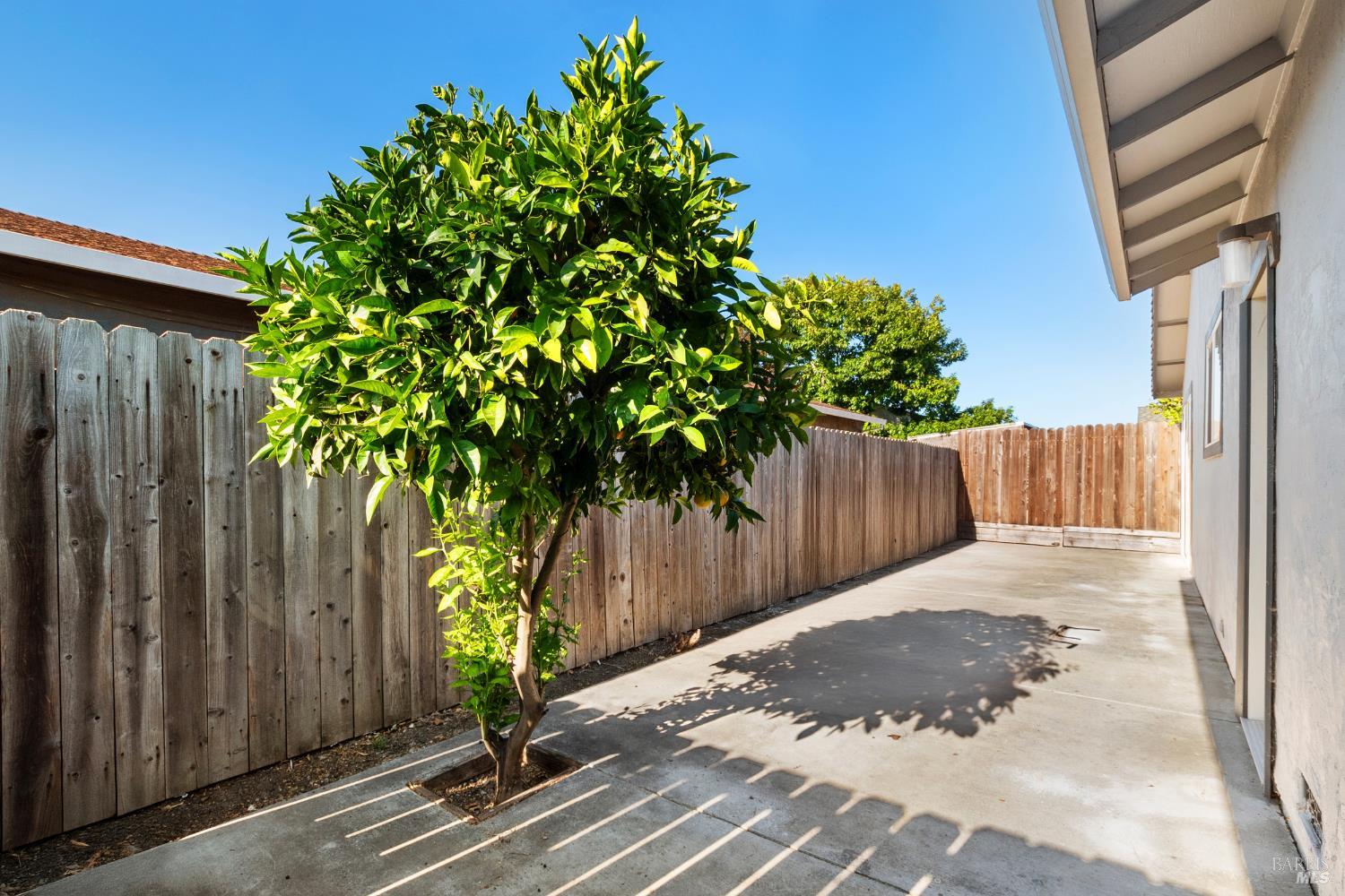 Springfield None, Vallejo, California image 33