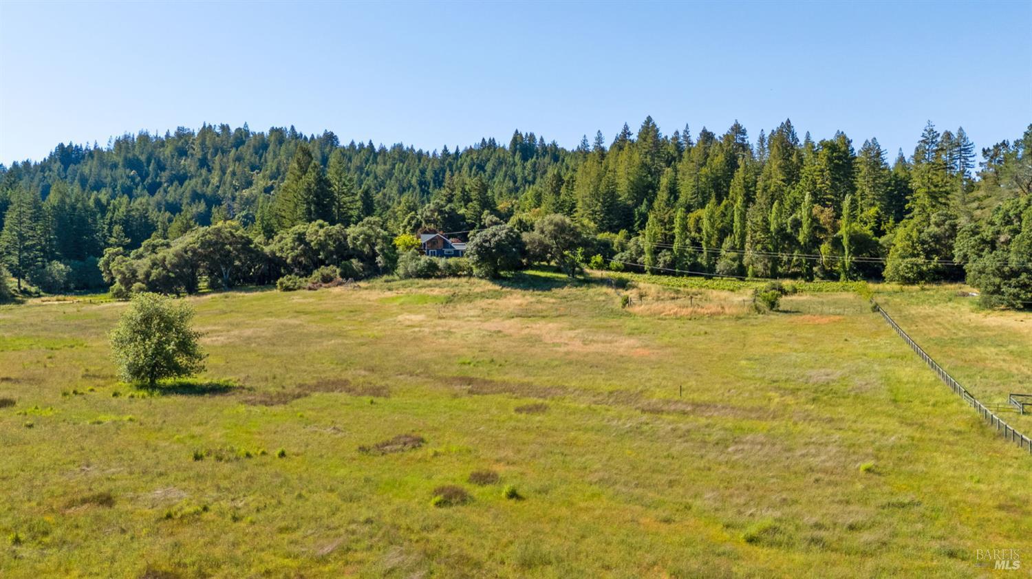 Detail Gallery Image 53 of 66 For 7950 Flynn Creek Rd, Comptche,  CA 95427 - 5 Beds | 3 Baths