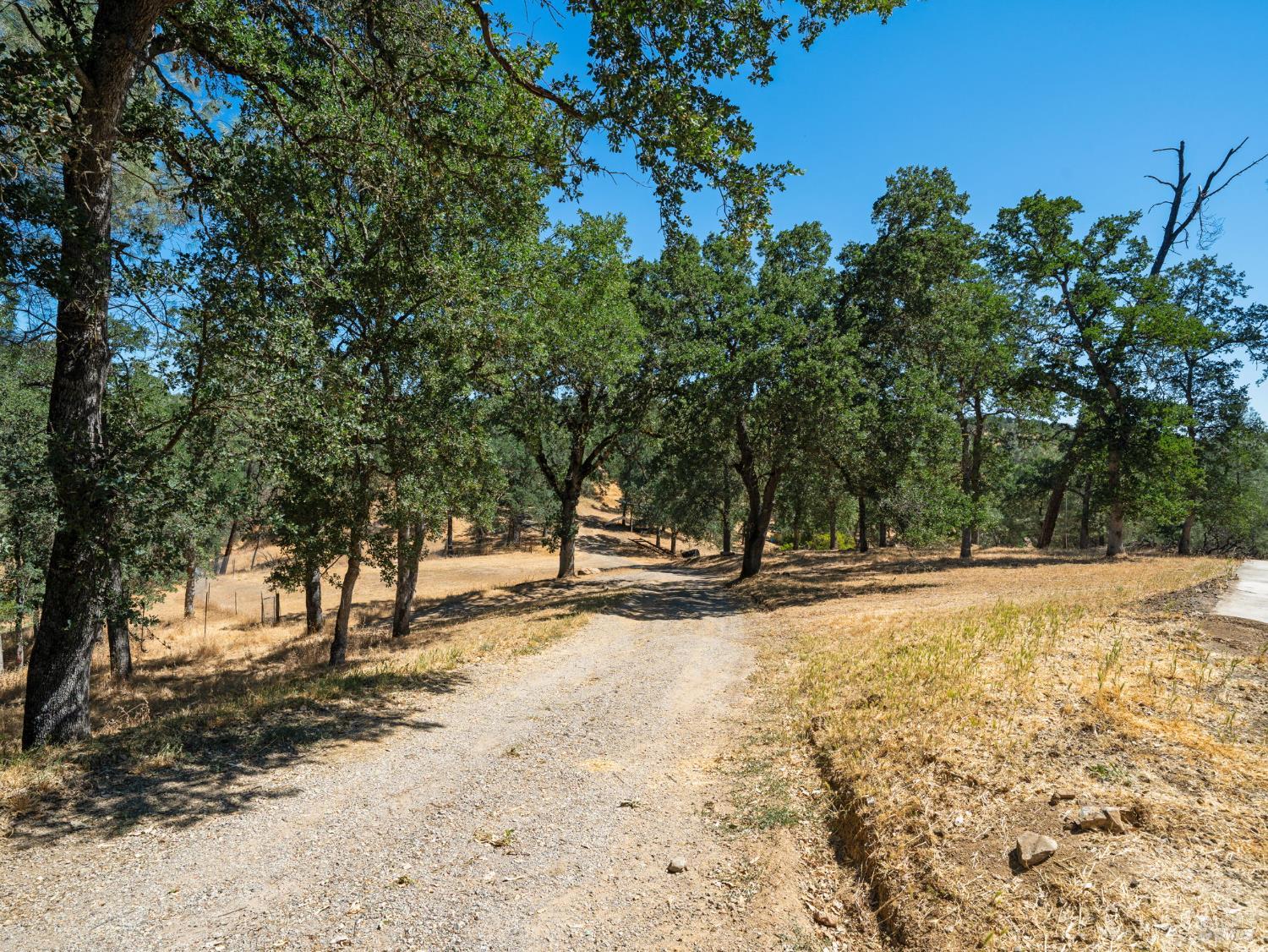 Detail Gallery Image 42 of 64 For 15400 May Hollow Rd, Lower Lake,  CA 95457 - 3 Beds | 2 Baths