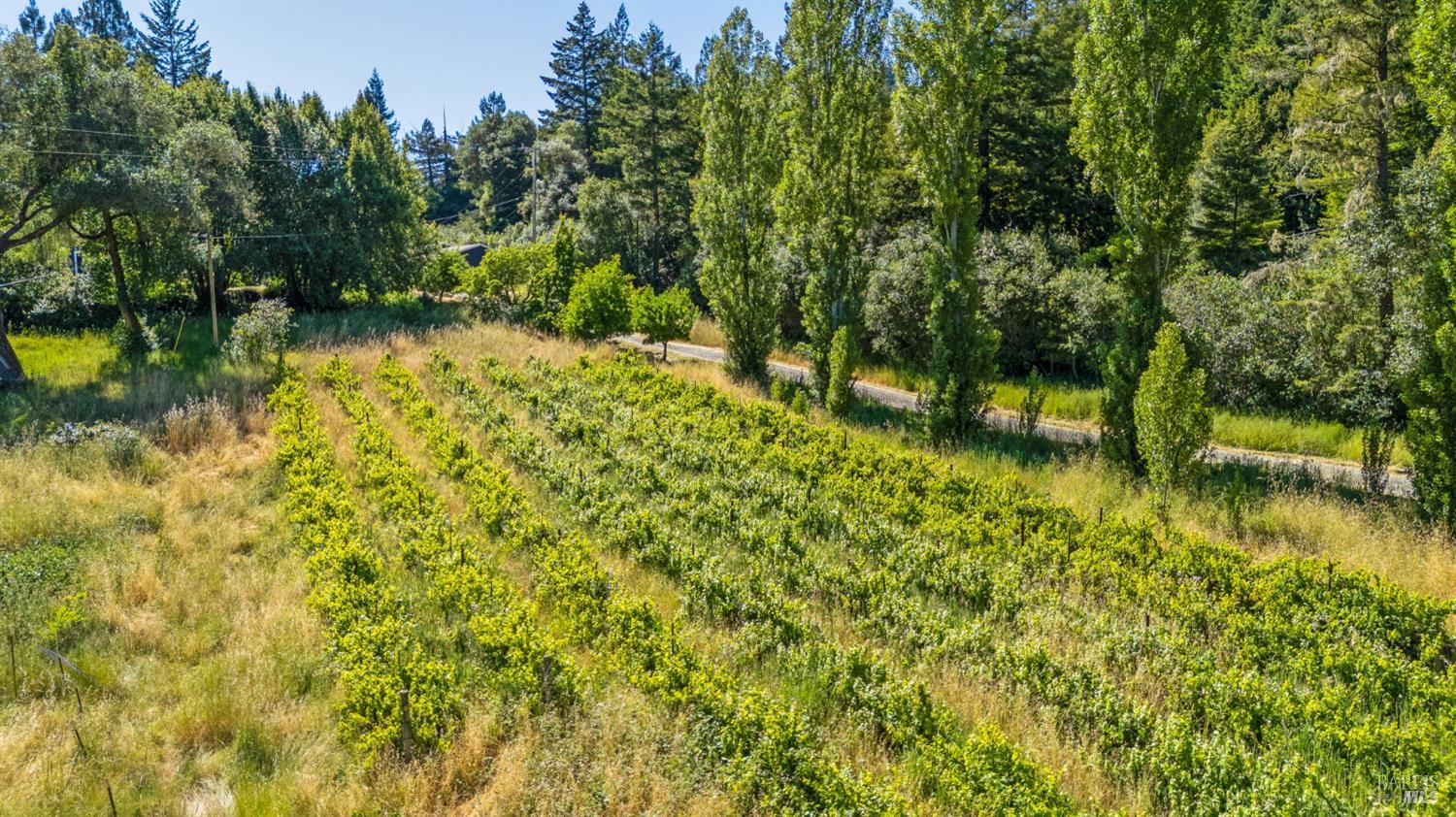 Detail Gallery Image 52 of 66 For 7950 Flynn Creek Rd, Comptche,  CA 95427 - 5 Beds | 3 Baths