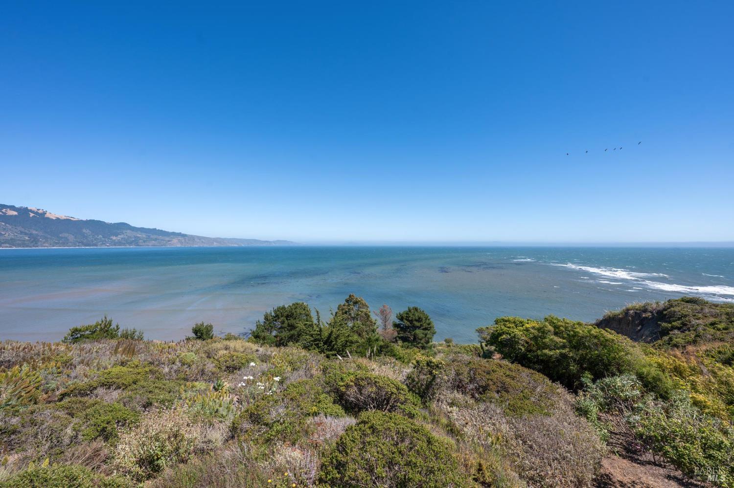 Detail Gallery Image 65 of 93 For 272 Ocean Pkwy, Bolinas,  CA 94924 - 3 Beds | 2 Baths