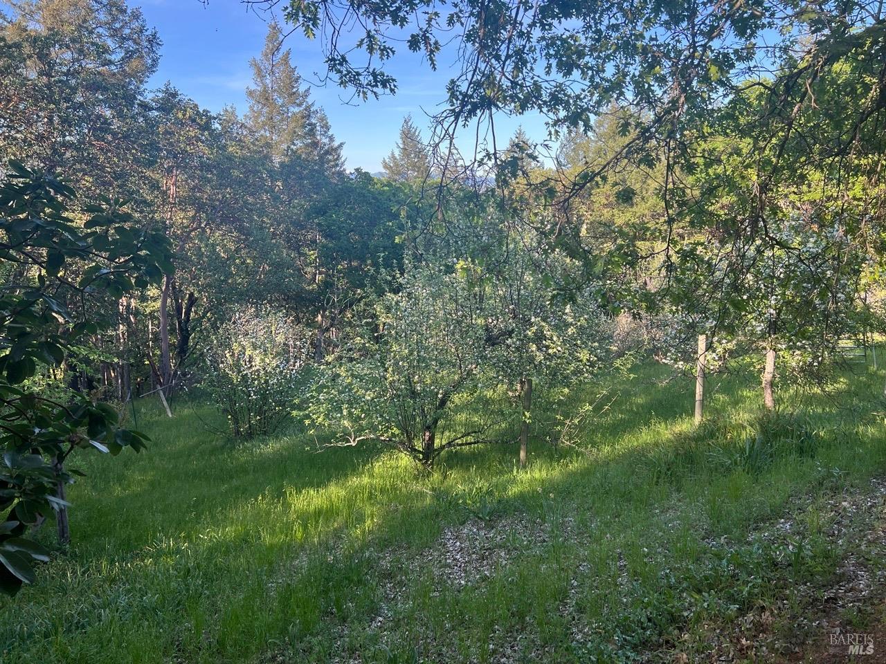 Detail Gallery Image 48 of 57 For 3100 Radical Ridge Rd, Redwood Valley,  CA 95470 - 4 Beds | 1/3 Baths