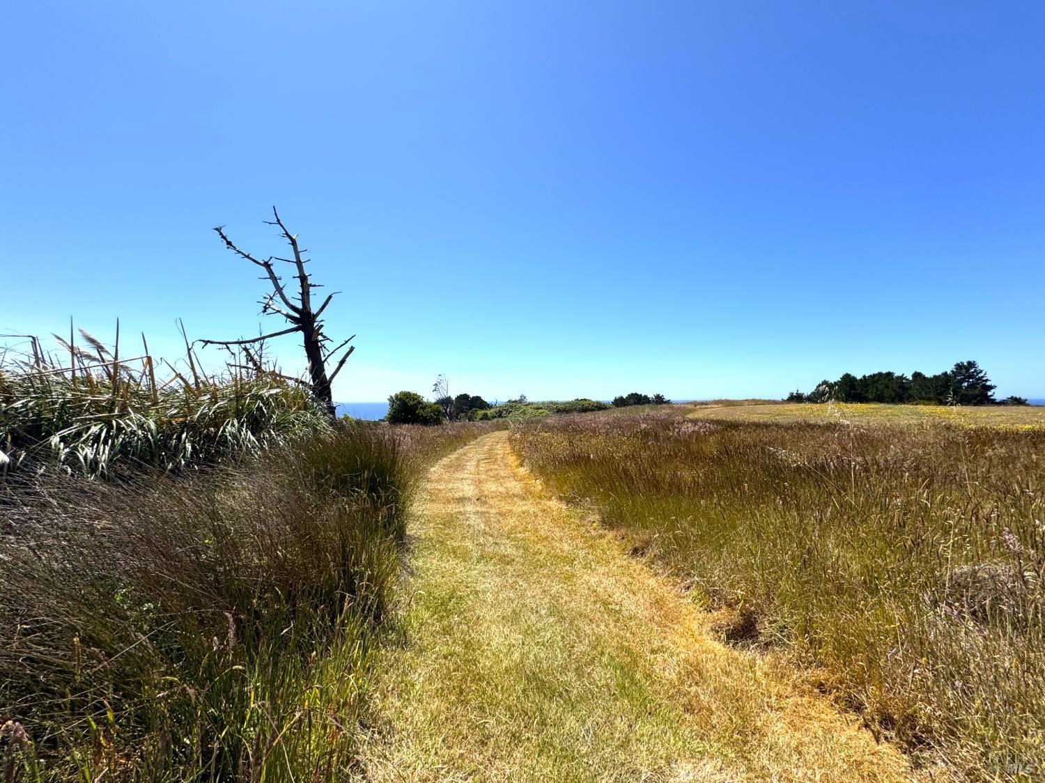 Detail Gallery Image 26 of 27 For 13500 Point Cabrillo Dr 13, Mendocino,  CA 95460 - 2 Beds | 1 Baths