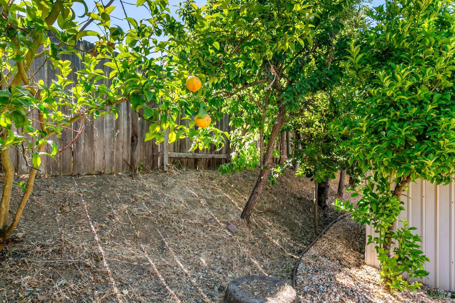 Pumice Court, Vallejo, California image 35