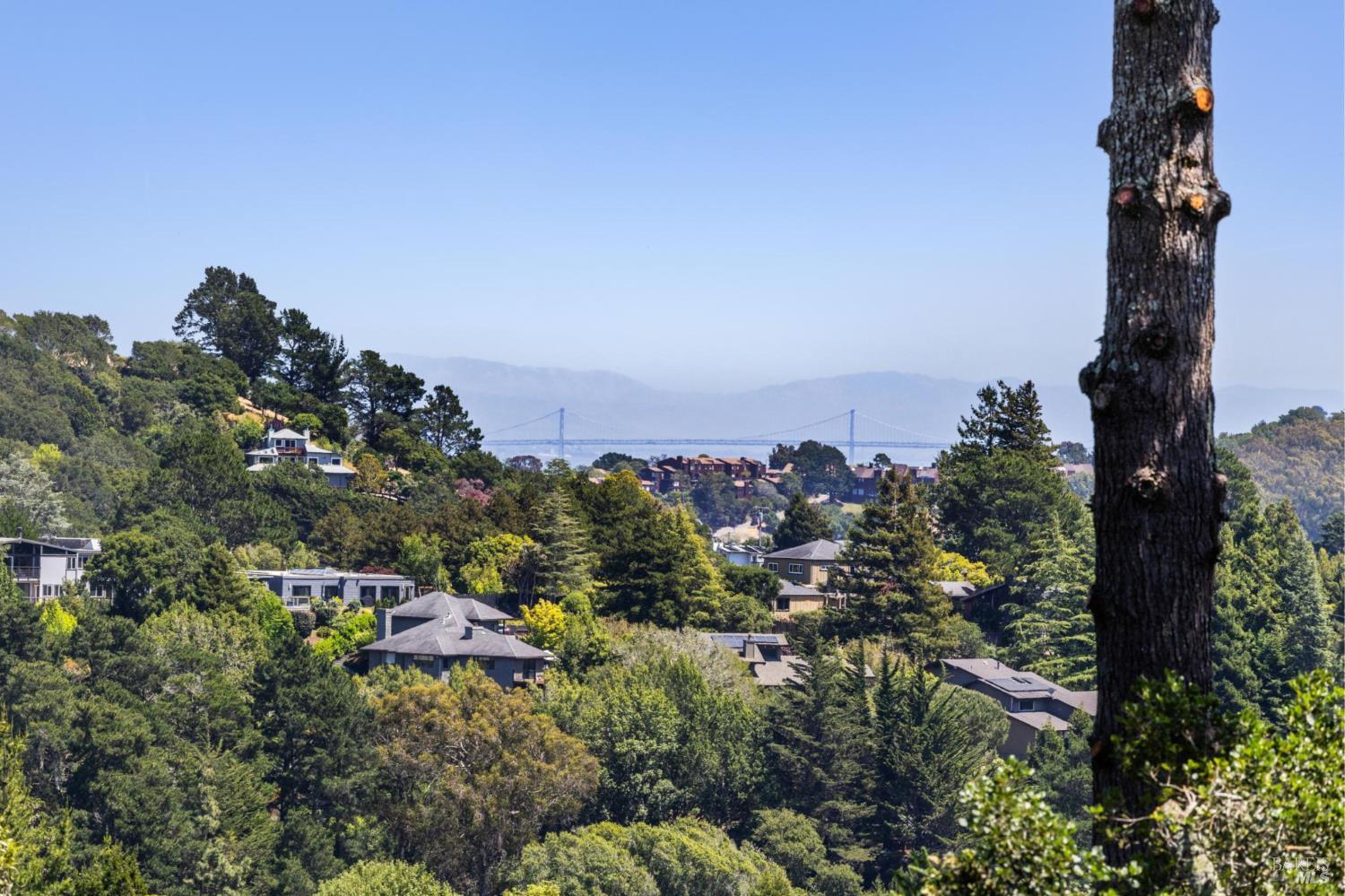 Detail Gallery Image 25 of 30 For 1131 W California Ave, Mill Valley,  CA 94941 - 4 Beds | 3 Baths
