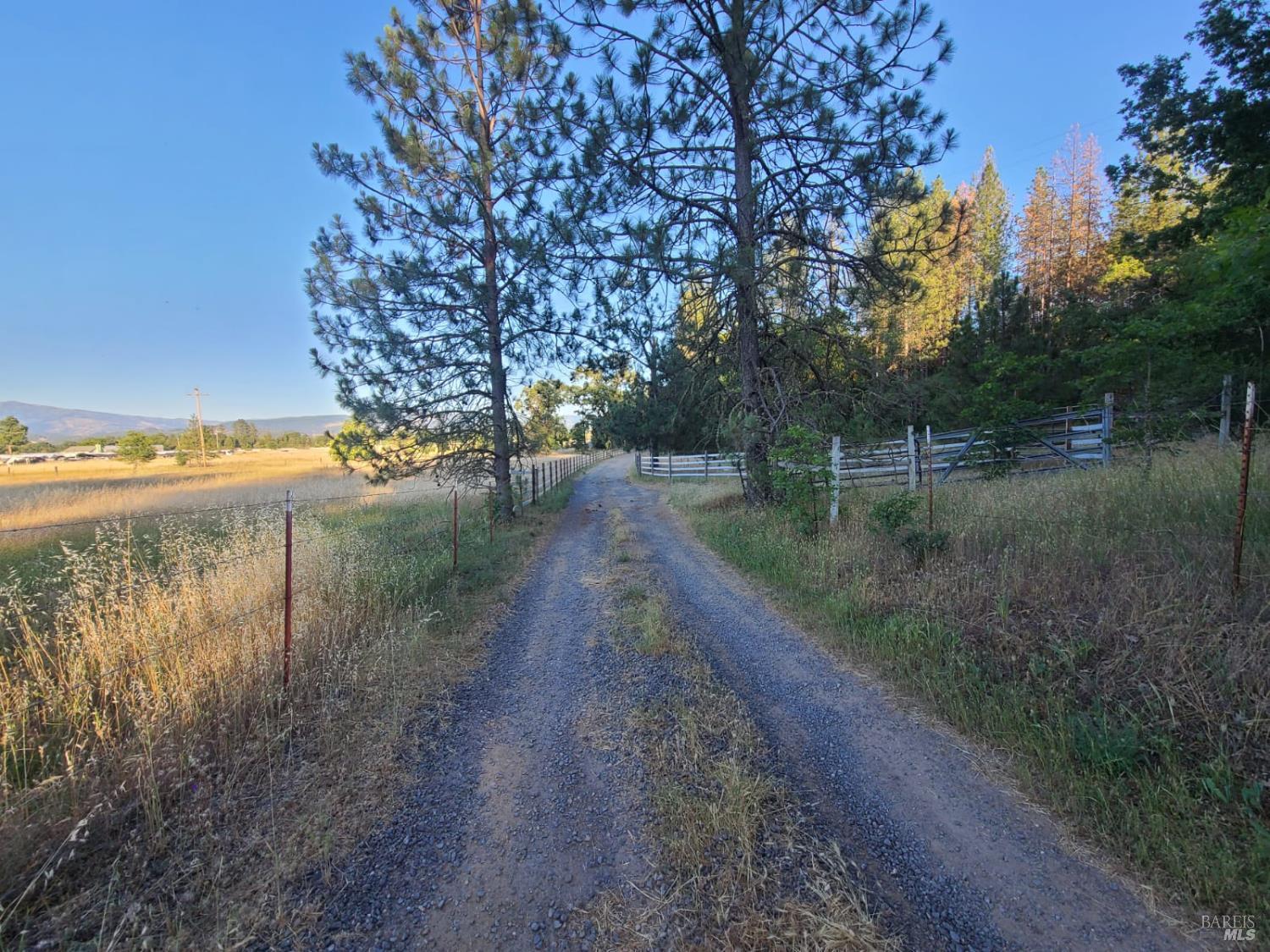 Detail Gallery Image 20 of 59 For 22500 Covelo Refuse Rd, Covelo,  CA 95428 - 3 Beds | 2 Baths
