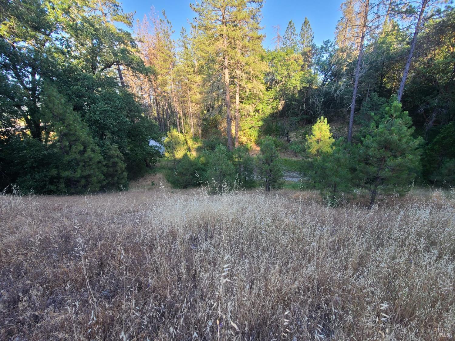 Detail Gallery Image 8 of 59 For 22500 Covelo Refuse Rd, Covelo,  CA 95428 - 3 Beds | 2 Baths