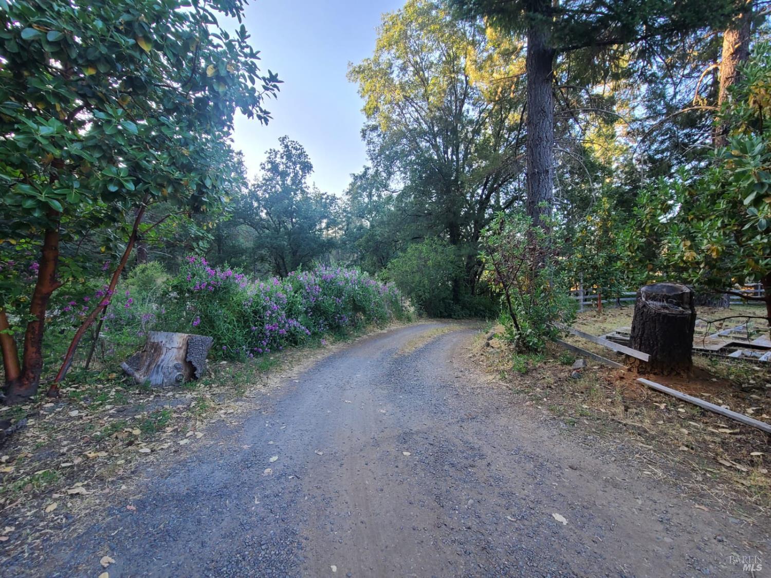 Detail Gallery Image 12 of 59 For 22500 Covelo Refuse Rd, Covelo,  CA 95428 - 3 Beds | 2 Baths