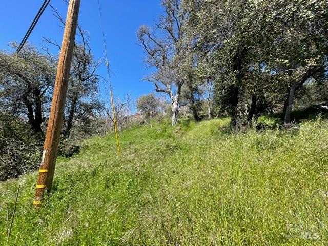 Detail Gallery Image 6 of 11 For 13546 Lakeshore Dr, Clearlake,  CA 95424 - – Beds | – Baths