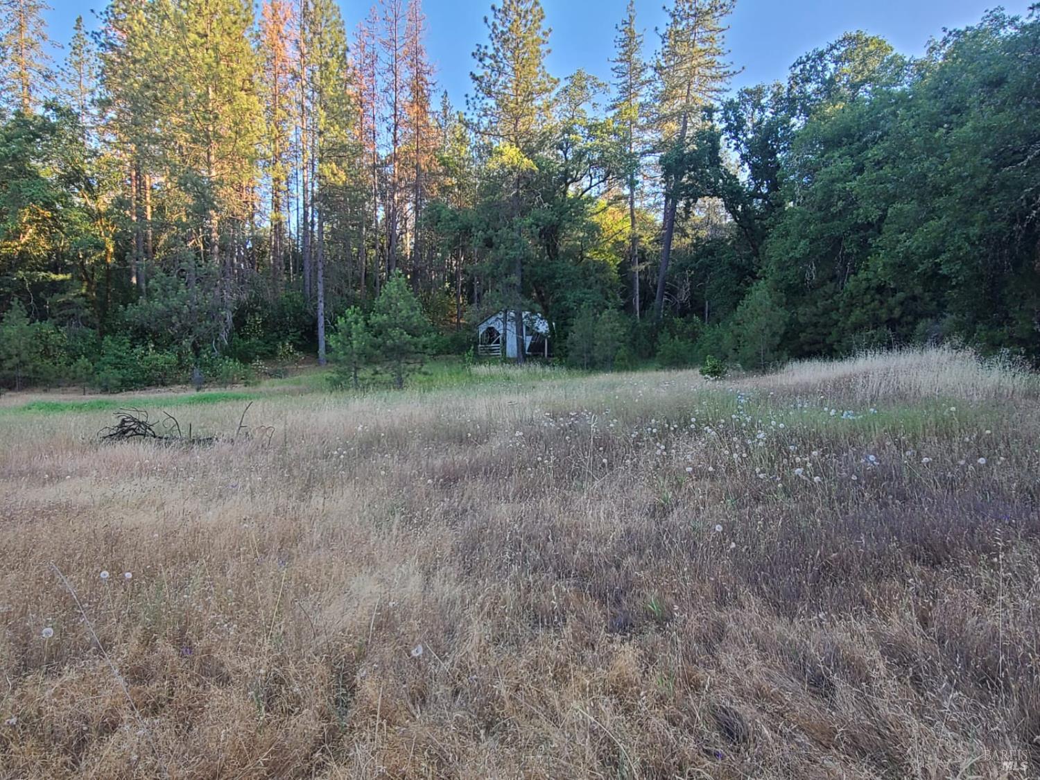 Detail Gallery Image 22 of 59 For 22500 Covelo Refuse Rd, Covelo,  CA 95428 - 3 Beds | 2 Baths