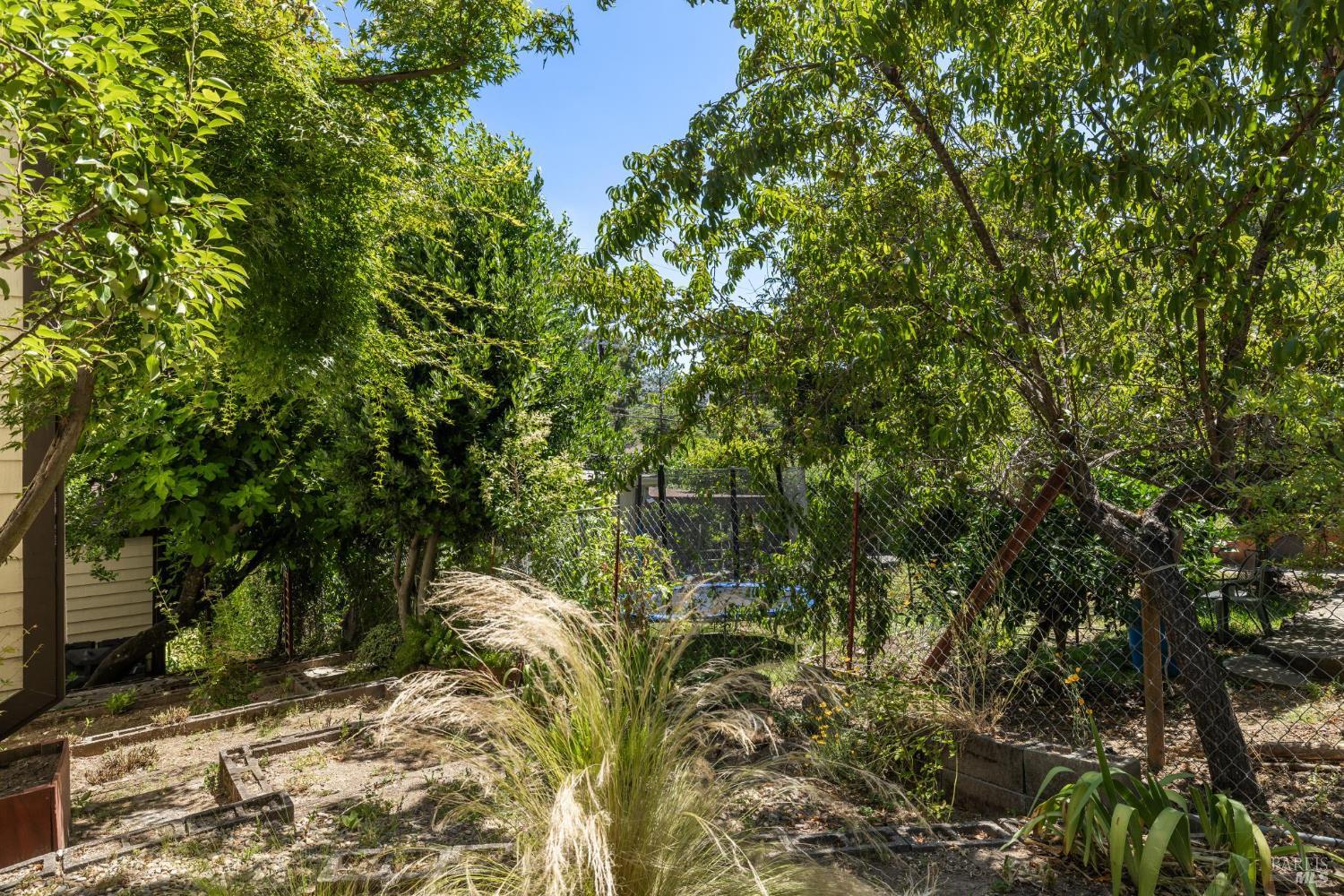 Detail Gallery Image 19 of 26 For 1619 Foothill Blvd, Calistoga,  CA 94515 - 2 Beds | 2/1 Baths
