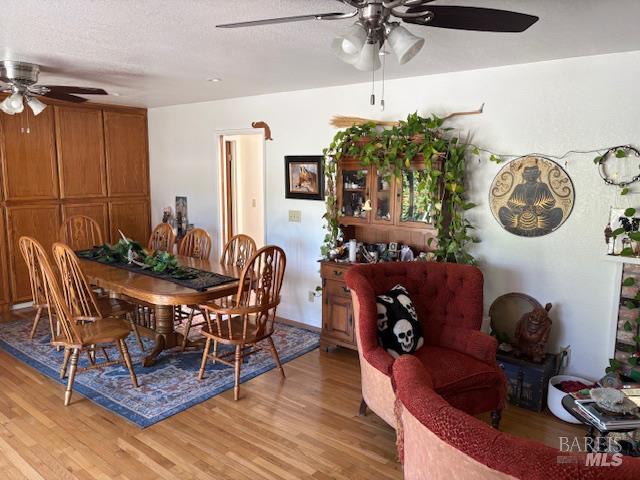 Detail Gallery Image 8 of 16 For 8001 Hill Dr, Sebastopol,  CA 95472 - 3 Beds | 2 Baths