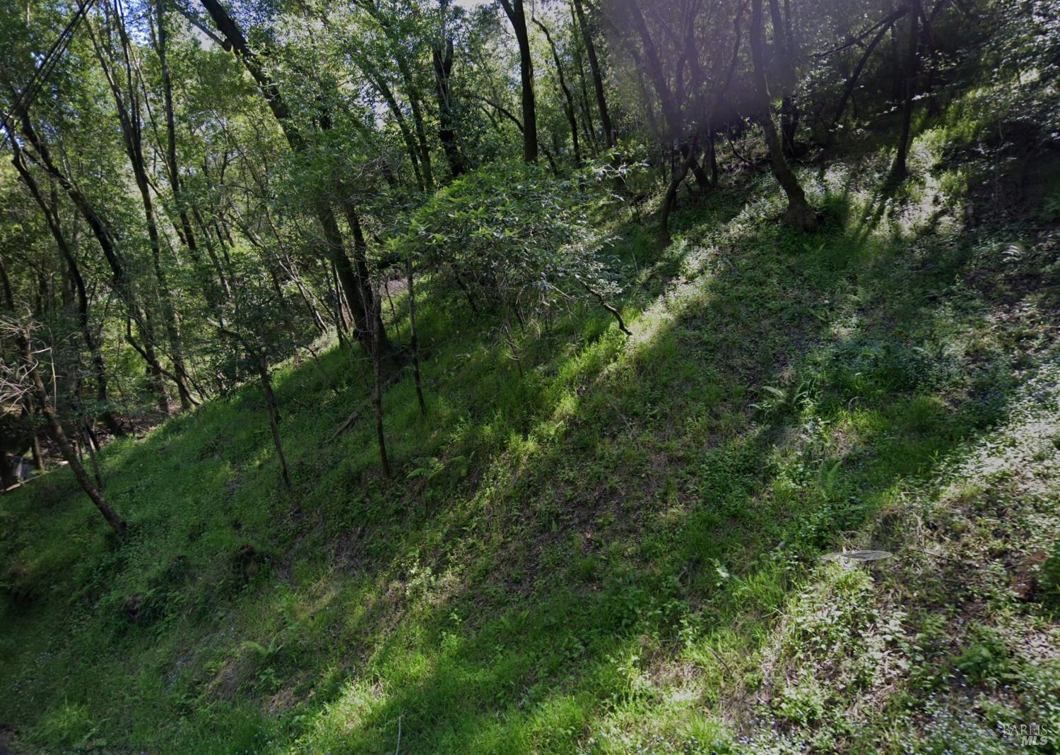 Detail Gallery Image 7 of 8 For 5 W Hillside Ave, San Anselmo,  CA 94960 - – Beds | – Baths