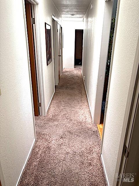 Detail Gallery Image 9 of 16 For 8001 Hill Dr, Sebastopol,  CA 95472 - 3 Beds | 2 Baths