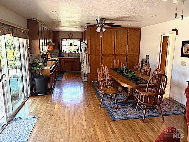 Detail Gallery Image 7 of 16 For 8001 Hill Dr, Sebastopol,  CA 95472 - 3 Beds | 2 Baths