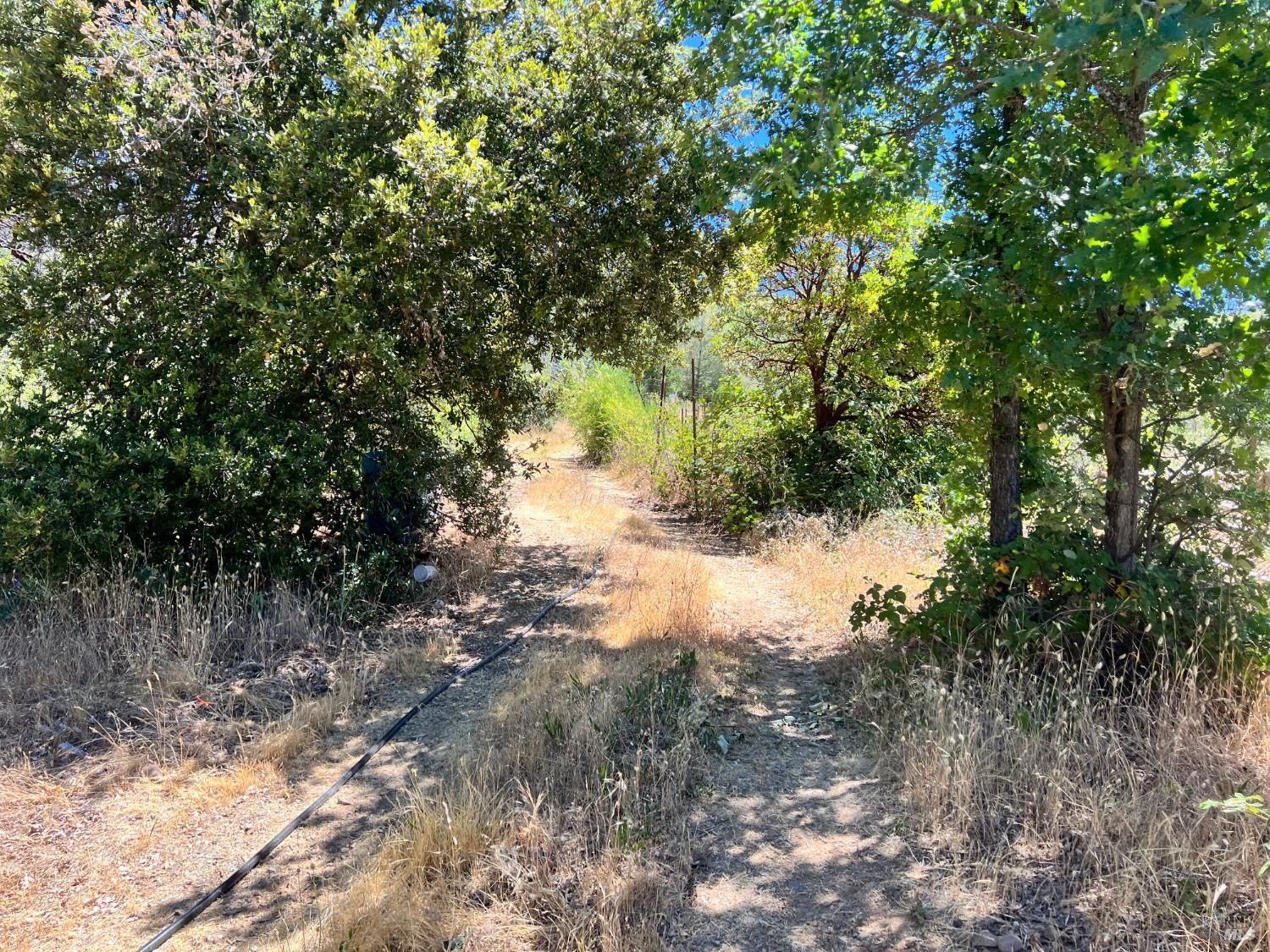 Front Image Thumbnail for BA325057825