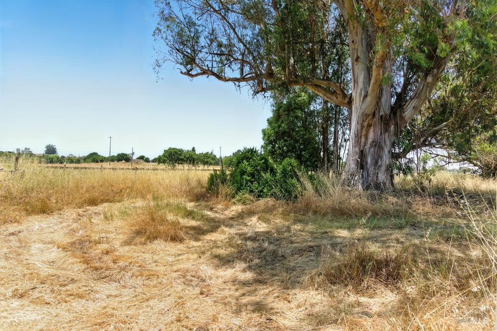 Detail Gallery Image 63 of 73 For 6067 Gilmore Ave, Cotati,  CA 94931 - 3 Beds | 2 Baths