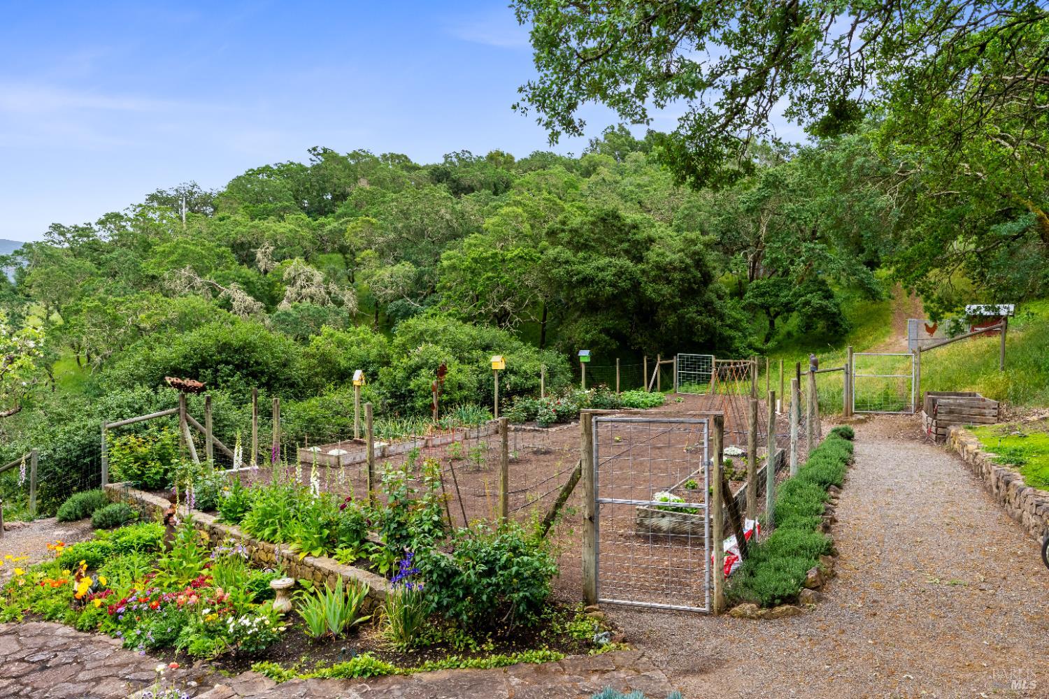 Detail Gallery Image 63 of 71 For 2231 1st Ave, Napa,  CA 94558 - 4 Beds | 3/1 Baths