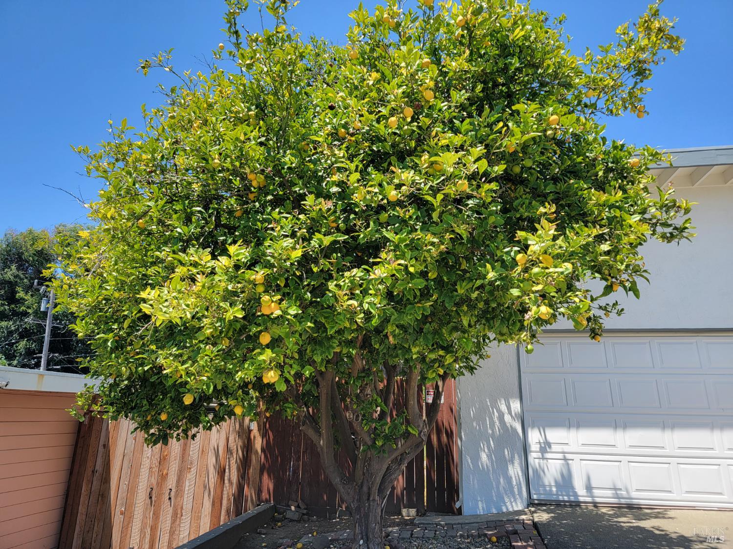Detail Gallery Image 2 of 21 For 236 Los Gatos Ave, Vallejo,  CA 94589 - 3 Beds | 1 Baths